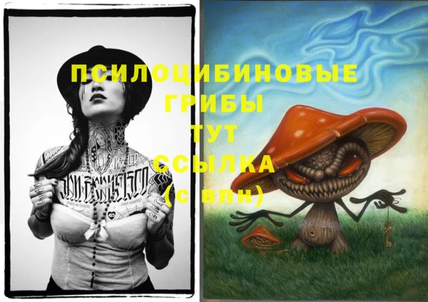 MDMA Алексеевка