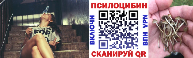 Псилоцибиновые грибы Cubensis Тотьма