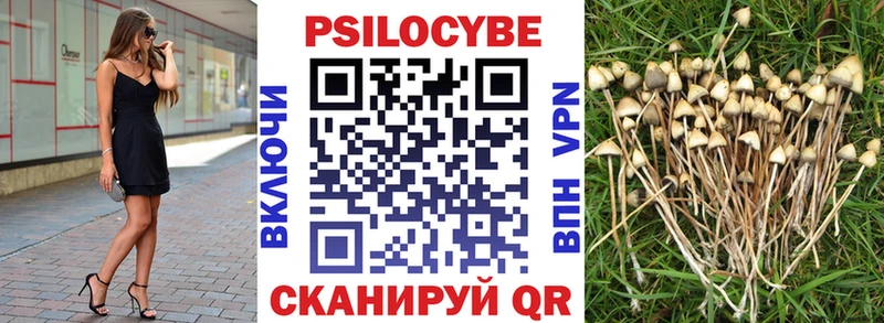 Псилоцибиновые грибы Cubensis  Купить где  Тотьма 